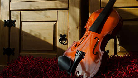 Violino